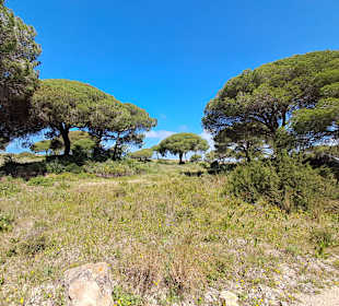 Salina Santa Teresa in Chiclana de la Frontera