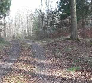 Rundwanderung durch den Rauhen Rammert Hemmendorf