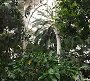 Palmenhaus, Schloß Schönbrunn, Wien