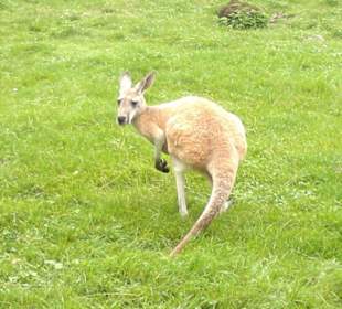 Zoo Olomouc