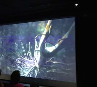 Naturparkzentrum Ruhestein