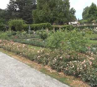 Äußerer italienischer Rosengarten