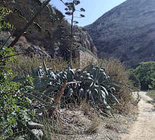 Wandern Gournes