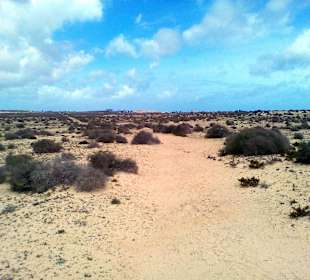 Parque Natural de las Dunas de Corralejo