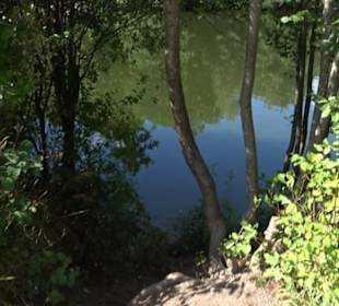 Neuer See