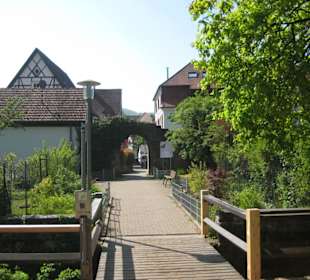 Brücke über einen Queichseitenarm