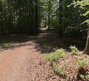 Rundwanderweg - Pauls Ruh