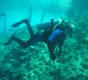 Unterhalb des Badestegs