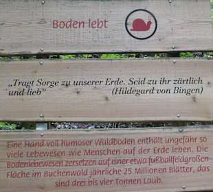 Über den Bergwald-Erlebnispfad hoch zum Frillensee