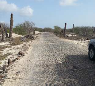 Ur-Straße Boa Vista