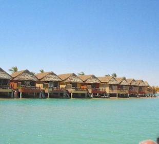Ausflug El Gouna