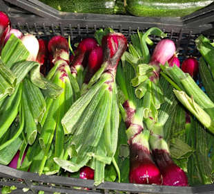 Rundgang über den Wochenmarkt Nuoro