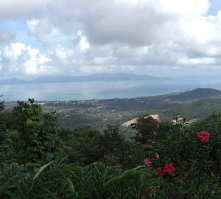 Aussichtspunkt während der Jungle-Tour