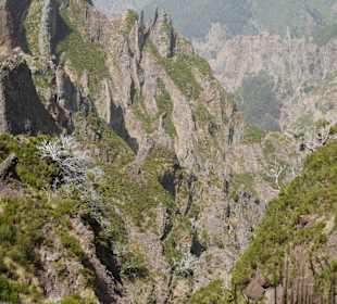Wandern Funchal