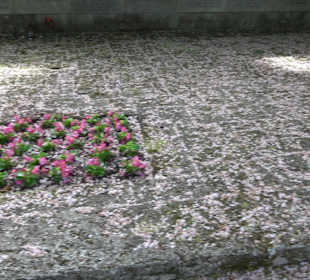 Gefallenendenkmal am Friedhof Holzhausen