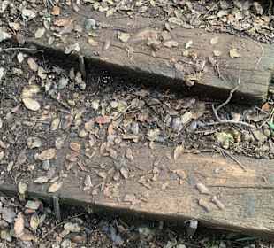 An den Treppen überall Metallflöcke oder Schrauben