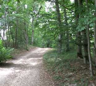 Hochgeträumt Premiumwanderung