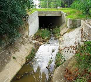 Inspirationen an d.Strandprom.entlang Nov.2010