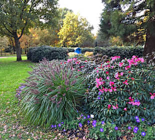 Der Duftgarten im Rhododendronpark