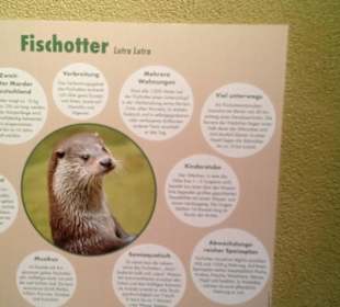 Infotafel