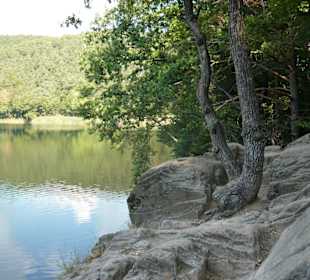 Am Großen Montiggler See