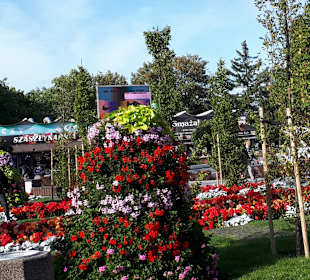 Stadtrundgang Miedzyzdroje