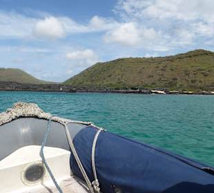 Auf dem Weg ans Land