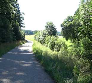 Waldameisen-LehrPfad