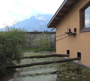 Südamerika Bereich - Südamerikahaus