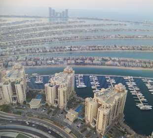 The View of the Palm