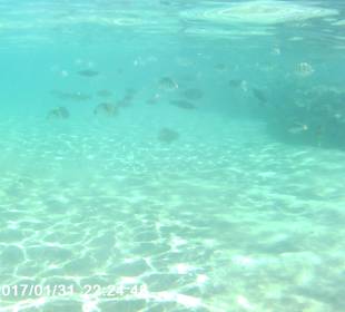 Schnorcheln Makadi Bay