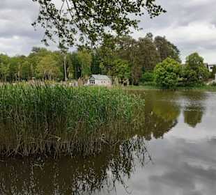 Seewoog in Ramstein-Miesenbach