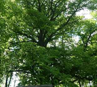 Unterwegs auf der Ostheimer Streifberg-Tour