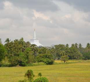 Anuradhapura