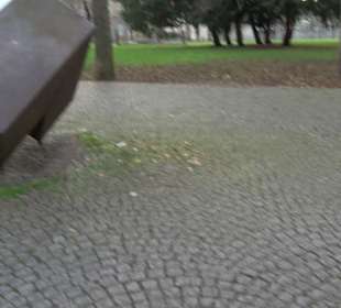 Stadtgarten Stuttgart