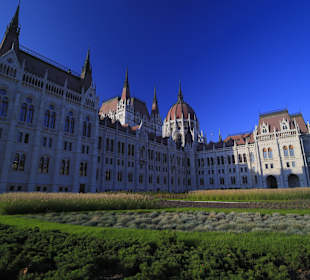 Parliament at rear view