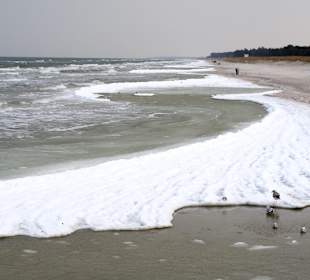 Strand ohne Badegäste
