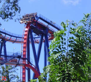 Achterbahn Sheikra