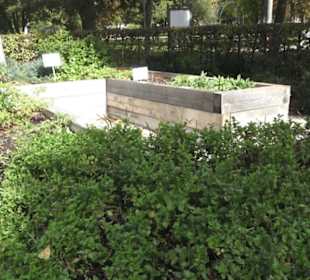 Kneippscher Kräutergarten