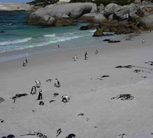 Boulders Beach