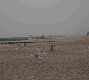 Strand Kolberg/Kolobrzeg