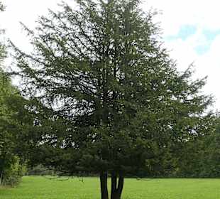 Unterwegs im Wandergebiet Ruhpolding