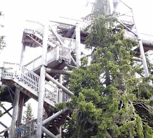 Eichhörnchenblick in der Bergerlebniswelt