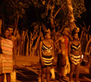 Krüger Nationalpark