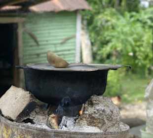 Kochen auf dem Bauernhof