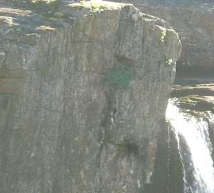 Trolle überwachen die Schlucht