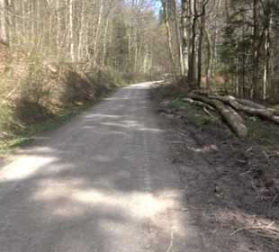 Geologischer Lehrpfad Kirnbachtal