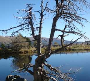 Im Naturpark Nockberge