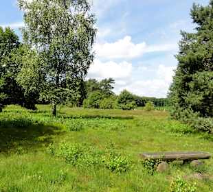 Blick über die Wiesen zur Glaner Braut