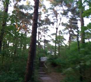 Wandern Trassenheide